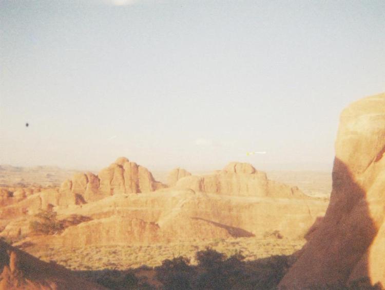 575030_3795108796494_1925286910_n